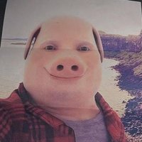 jhon pork (@jhonporkzero) 's Twitter Profile