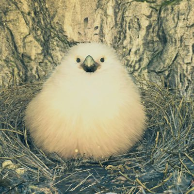dorapanさんのプロフィール画像