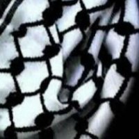 zedan (@zedan78320788) 's Twitter Profile