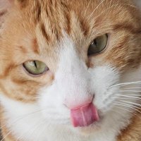 ๐ฝ๋๊ทธ๋๋ก๐ฝ์ก๋ฌ์ผ๊ธฐ (@zzing_zzing_ii) 's Twitter Profile