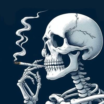 MeerSahib07's profile picture. 