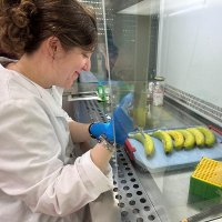 Lucía Gómez (@gomezlucia93) 's Twitter Profile Photo