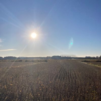 anpontanbakatin's profile picture. やる気ないよ