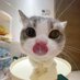 ๐น (@rosyposchy) Twitter profile photo ๐น (@rosyposchy) Twitter profile photo