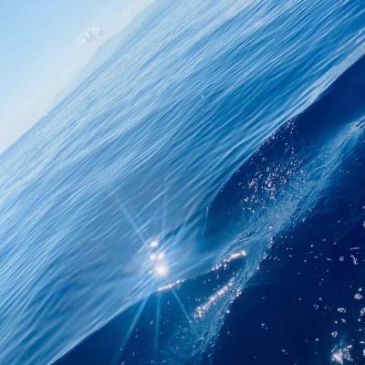 bitlet50845834's profile picture. 