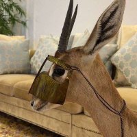♡̅α̅и̅f̅α̅s ̅α̅ℓ̅н̅и̅ɪ̅и (@sa635alh) 's Twitter Profile Photo ♡̅α̅и̅f̅α̅s ̅α̅ℓ̅н̅и̅ɪ̅и (@sa635alh) 's Twitter Profile Photo