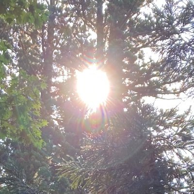 皇祖霊に選ばれた悠仁様への悪舌は魂を汚し償いきれない罪を作る。生前より長い死後の世界でわかる事。国連大陸界隈から日本を滅ぼしたい者たちが足掻こうとも神々は全てを見ている。立派な地位も金もあの世には持っていけない。持っていけるのは生前の徳と罪。悠仁様を守る事は大きな善行・徳積みとなり先祖と神々皇祖霊から守られます。