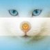 Silvia Meloni,💛 (@silviamelon) Twitter profile photo Silvia Meloni,💛 (@silviamelon) Twitter profile photo
