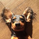 Anne Gallagher - @AnneGal74797143 - Twitter