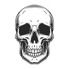 Peopledeaddaly1's profile picture. 