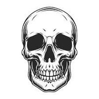 People Dead Daily (@peopledeaddaly1) 's Twitter Profile Photo