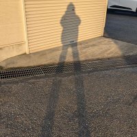 ayuta。 (@maigonosora) 's Twitter Profile