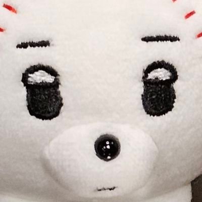 요르파さんのプロフィール画像