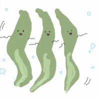 わかめスープの素 (@7h_t2) 's Twitter Profile Photo わかめスープの素 (@7h_t2) 's Twitter Profile Photo