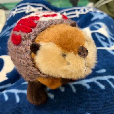 nao_sae8's profile picture. ♡SUPERBEAVER ＊6/20 ZOZO＊10/4fes＊2/21.22広島アリーナ