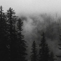 DOKSA (@doksa__) 's Twitter Profile