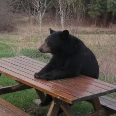 5390Saswat's profile picture. Just here to type my opinion about shit 🙂 I don't know or own