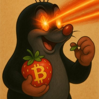 #Bitcoin enthusiast since 2017 🟠 | Running multiple @BitcoinKnots & LND nodes⚡ | #Bitcoin liquidity provider | Expert in Digital Scarcity Extraction 💎