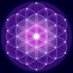 Eternal Conciousness (@eternalconcious) Twitter profile photo Eternal Conciousness (@eternalconcious) Twitter profile photo