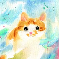 족족이 (@jokjok) 's Twitter Profile Photo 족족이 (@jokjok) 's Twitter Profile Photo