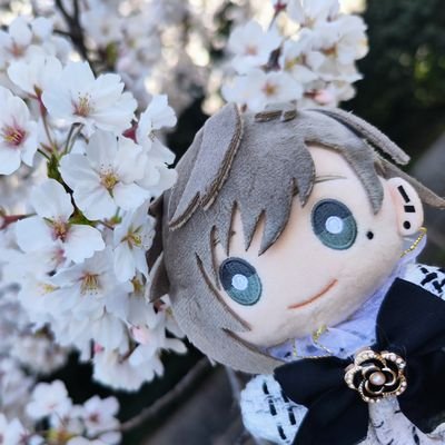 きゃずー💙💜さんのプロフィール画像