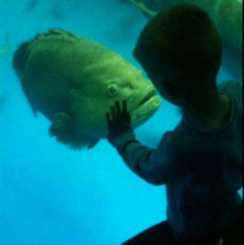 bhb31's profile picture. FB/BB Coach