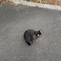 たーたー (@ta__ta__ta3322) 's Twitter Profile Photo