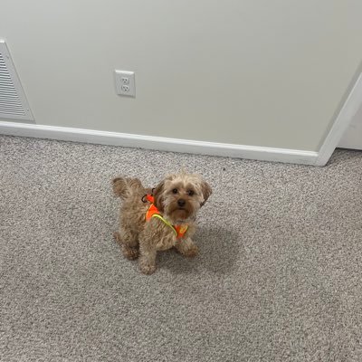 brozy5's profile picture. 