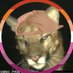 jawn doe (@castlevolk1har) Twitter profile photo jawn doe (@castlevolk1har) Twitter profile photo