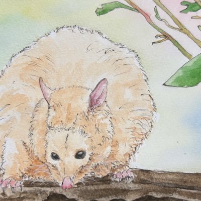 TpD3FJmVz826035's profile picture. 男 06 名　しせい