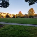 Mark Olea - @MarkOlea347222 - Twitter