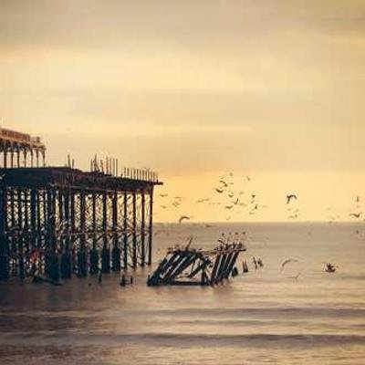 SestosoT51329's profile picture. 