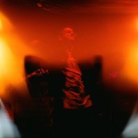 leisure theory (@leisure_theory) 's Twitter Profile