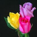 malurivera - @malu252rivera - Twitter