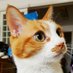Losso๐ณ๏ธโ๐ (@ssullosso) Twitter profile photo Losso๐ณ๏ธโ๐ (@ssullosso) Twitter profile photo