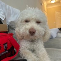 Ryan Russell (@canofdip619) 's Twitter Profile