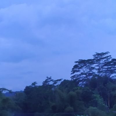 DalamPariwisata's profile picture. 