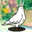 きまねこ Profile