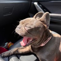 fanos (@fanosfanosfanos) 's Twitter Profile