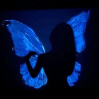 φąʂʂìօղ ✨💕🌸 (@passionsunshyne) 's Twitter Profile Photo