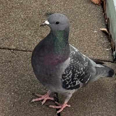 yutya_0303's profile picture. 