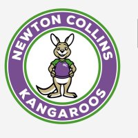 Newton Collins ES (@dvisd_nces) 's Twitter Profile