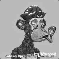 wrrappediico's profile picture. The open nft marketplace on cronos. buy, sell, & discover the cronoschain | cro cronosnft crofam