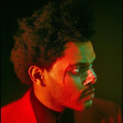maxcatout's profile picture. i know nothing