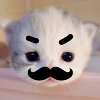煎饺神 (@i1314151241475i) 's Twitter Profile Photo
