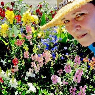 LittlOperaAnnie's profile picture. 🎶😷🎶👑🎶😷🎶