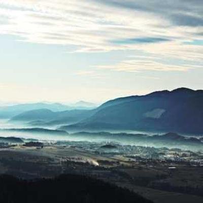 KlementNei19991's profile picture. 