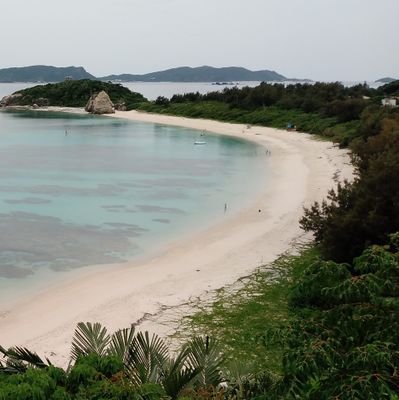 日本人よ!日本を日本人の手に取り戻そう!そして日本は永遠に、平和で豊かな国になる!!!参政党サポーター🍊2025年7月の参院選は日本国民全員投票へ!!!