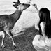 LANA (@lnotoyt) Twitter profile photo LANA (@lnotoyt) Twitter profile photo