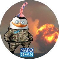 des #Nafo📯 bsky😸🐒🥳 (@desart_vs) 's Twitter Profile Photo des #Nafo📯 bsky😸🐒🥳 (@desart_vs) 's Twitter Profile Photo